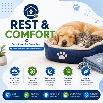 Rest & Comfort